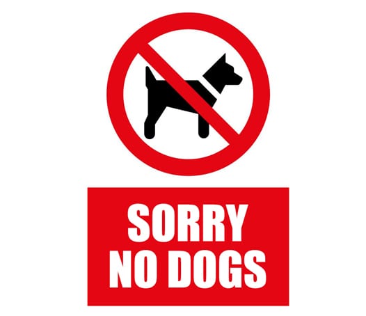 sorry no dogs
