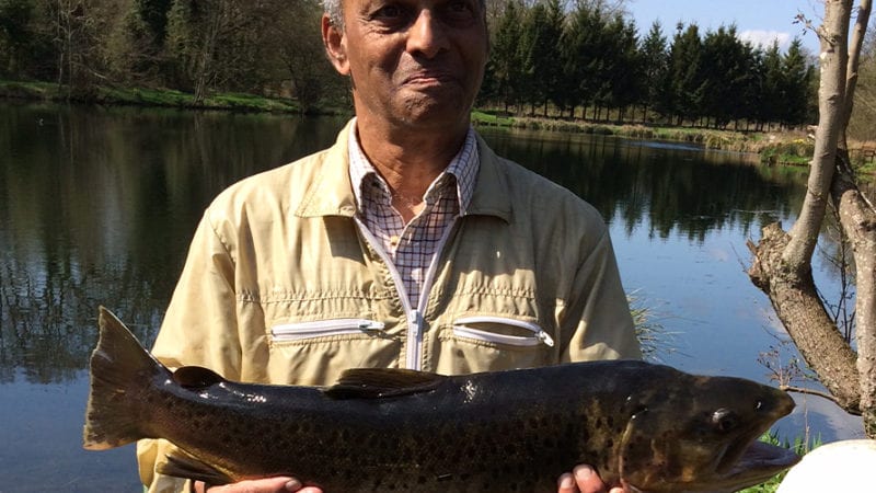 10lb 15oz brown trout Caught this week at Barn Elms by Michael Pereira
